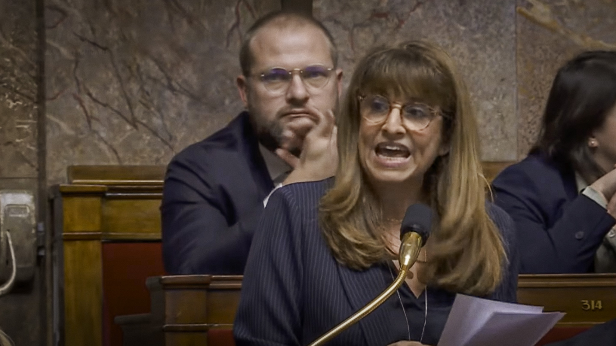 Assemblée Nationale le 28 janvier 2025, Caroline Yadan députée EPR attise toutes les haines - Photo - AN