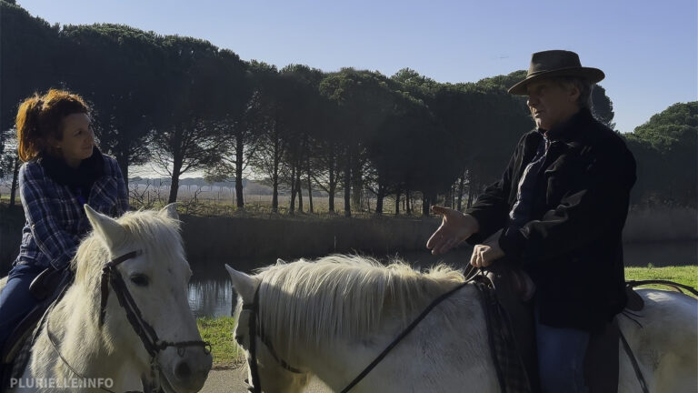 Camargue : inquiète pour la filière équine, Nadia Belaouni saisit la procureure de la République