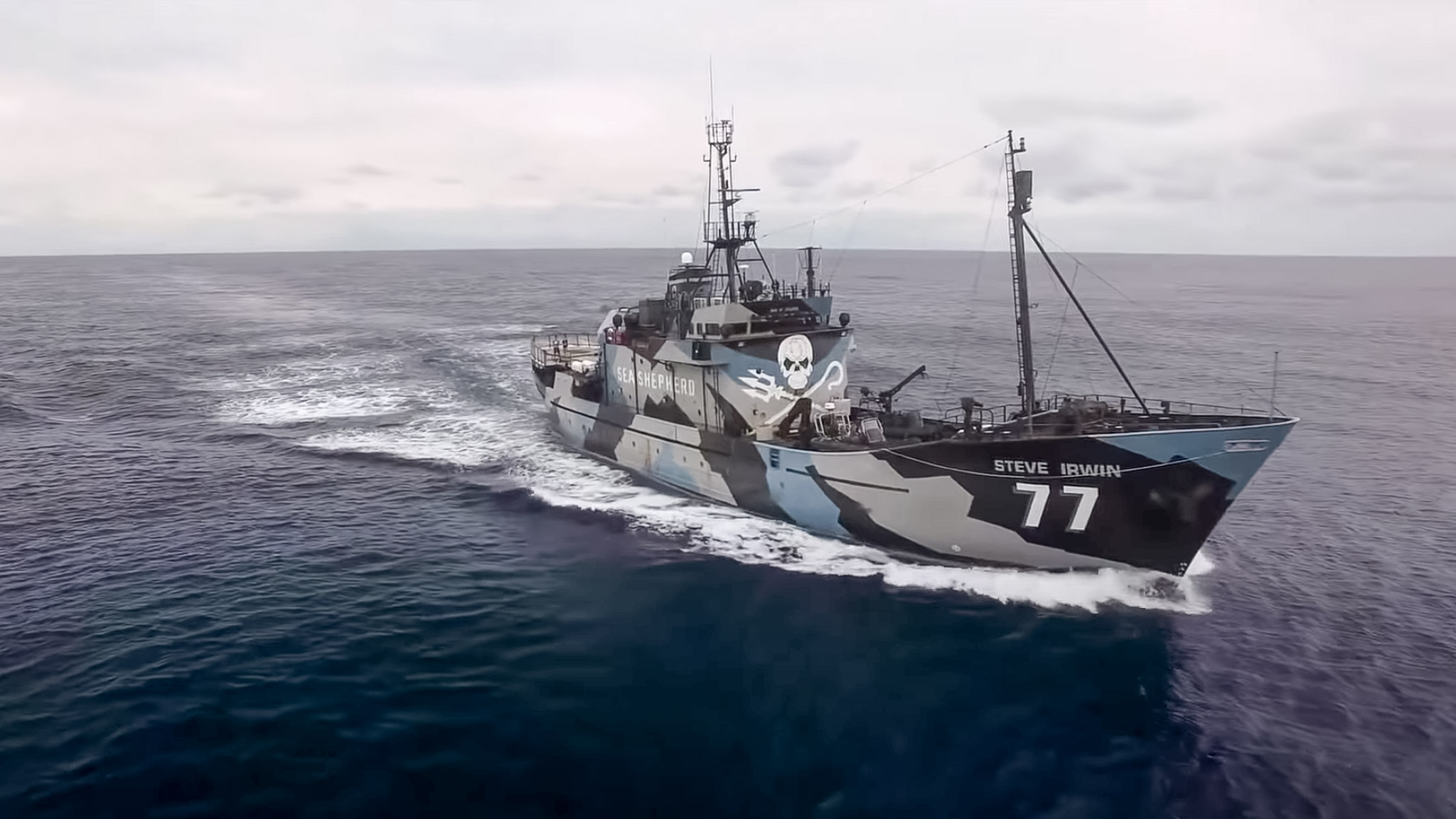 Navire Sea Shepherd - Photo - Shepherd