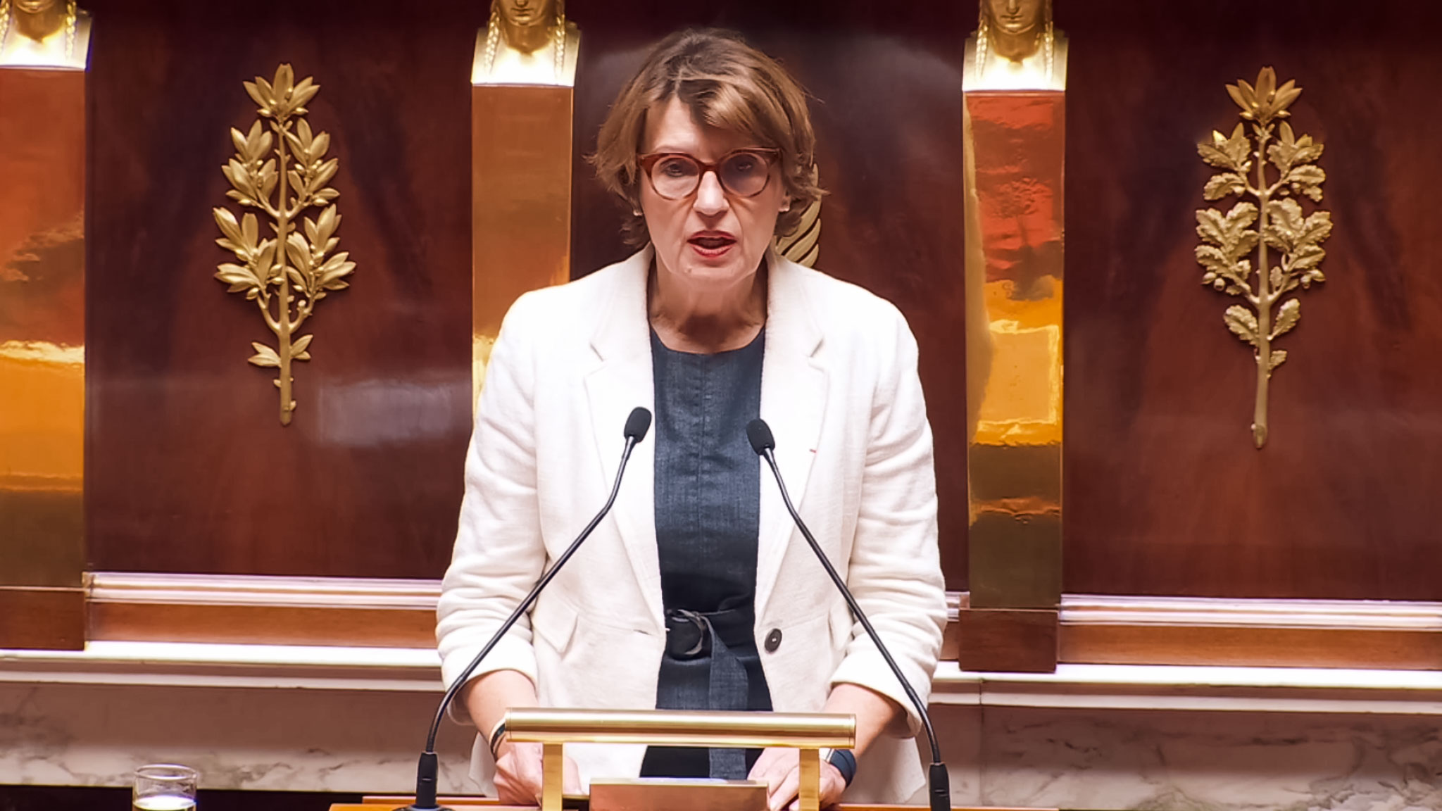 Annie Genevard ministre de l’Agriculture et de la Souveraineté alimentaire le 8 juillet 2025 - Photo - Assemblée nationale
