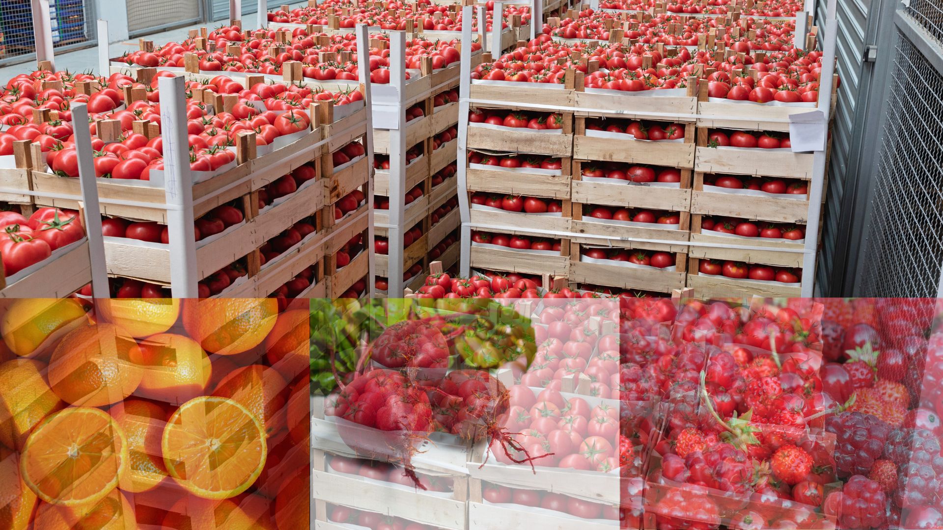 Importation de denrées alimentaires - Photo - PLURIELLE INFO