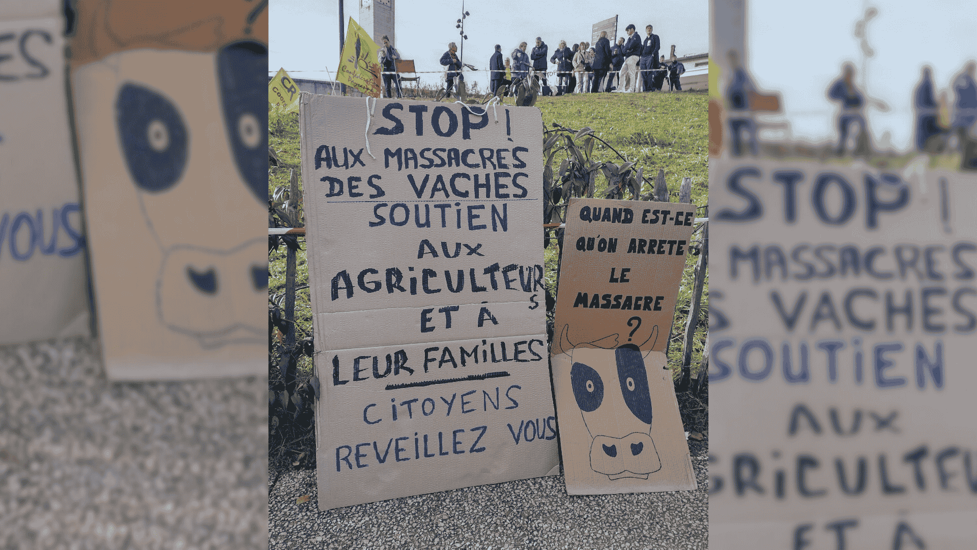 Dermatose nodulaire contagieuse malgré la levée de certains barrages, la contestation des éleveurs contre l’abattage total se poursuit - Photo - DR CP