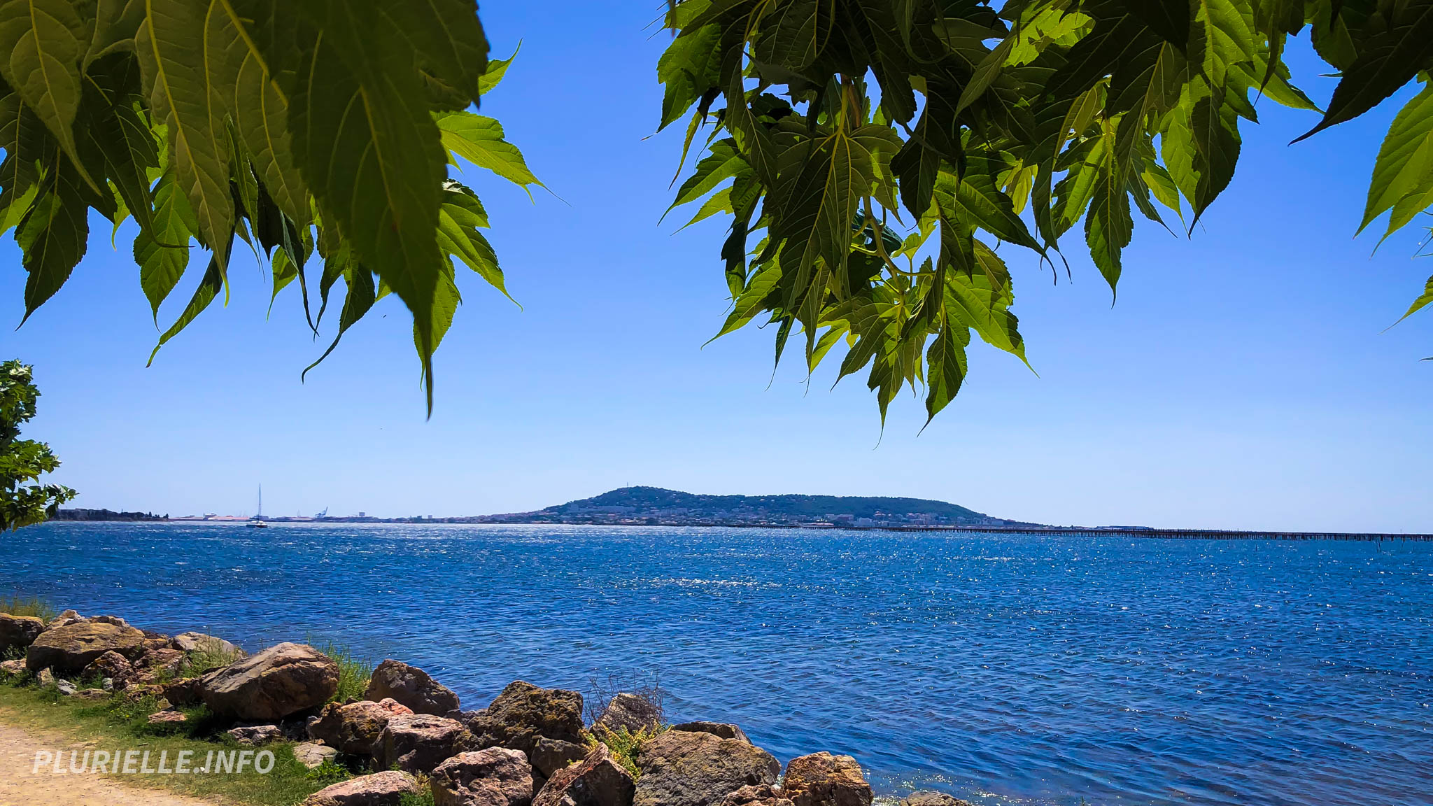 Étang de thau vue sur Sète - Photo - JPV _ PLURIELLE INFO