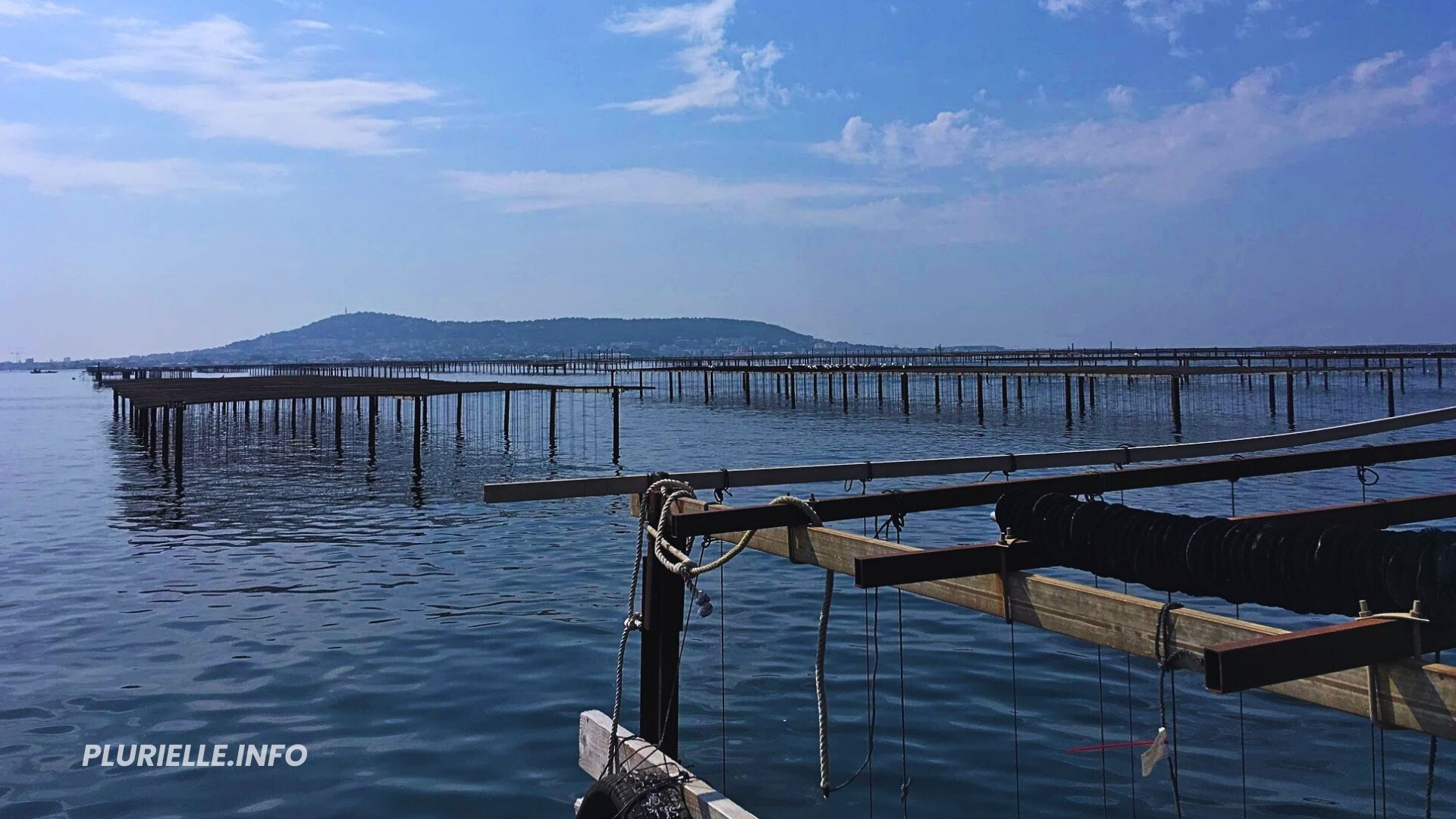 Étang de Thau Huîtres structures de tables - Photo - Archives PLURIELLE INFO