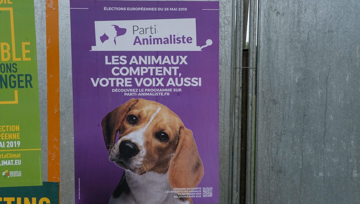 affiche-parti-animaliste