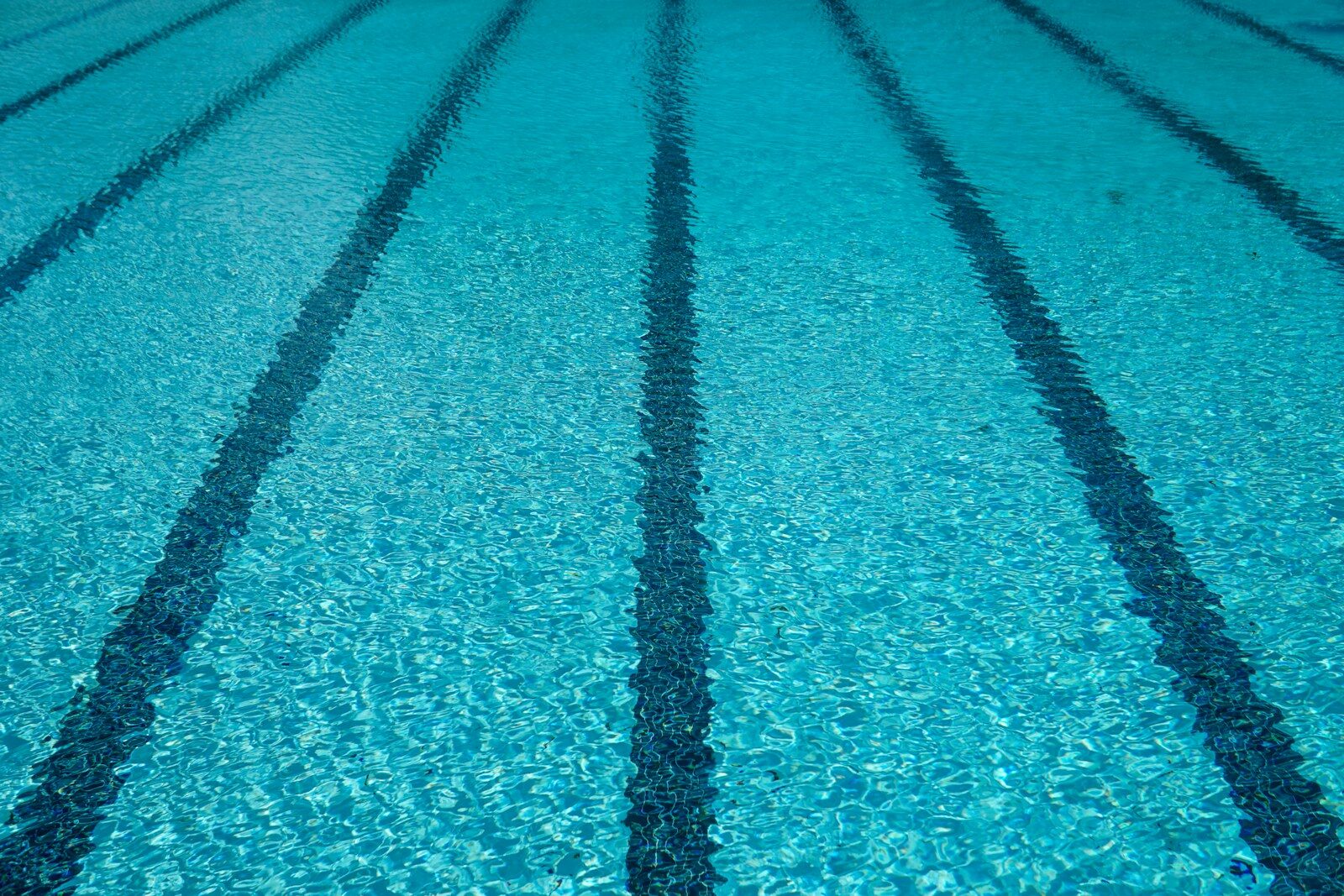 Piscine ligne d'eau - Photo - Thomas Park