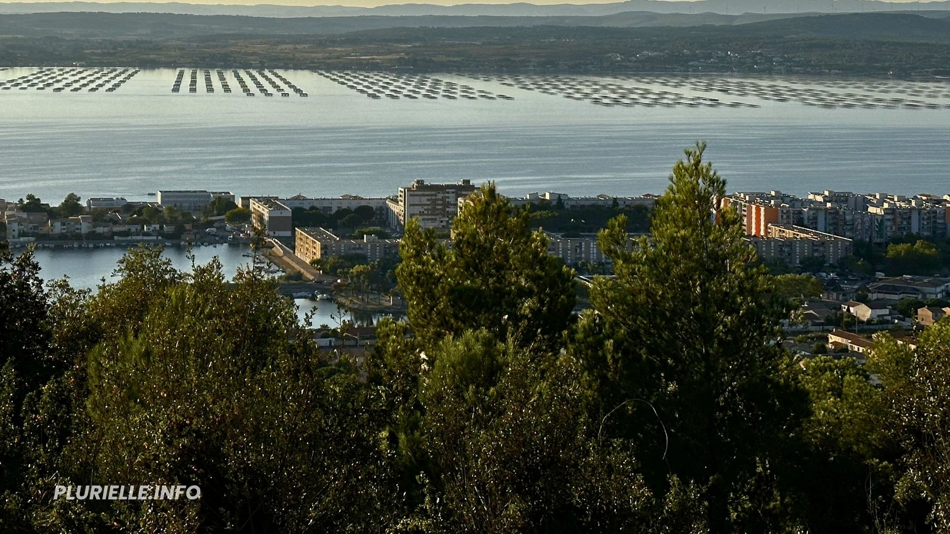 Île de Thau à Sète - Photo - PLURIELLE INFO