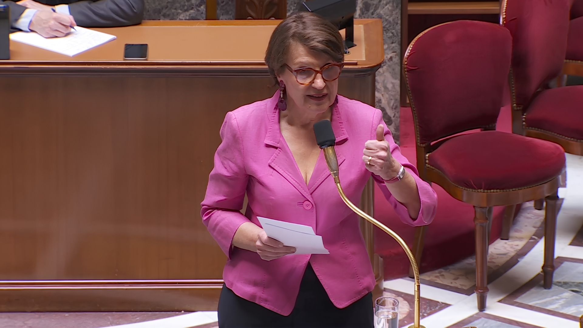 Annie Genevard à l'Assemblée nationale - Photo - DR AN
