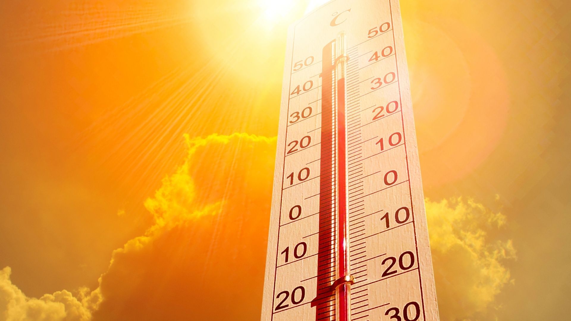 Canicule et températures extrêmes - Photo - Sung Yoon Jo