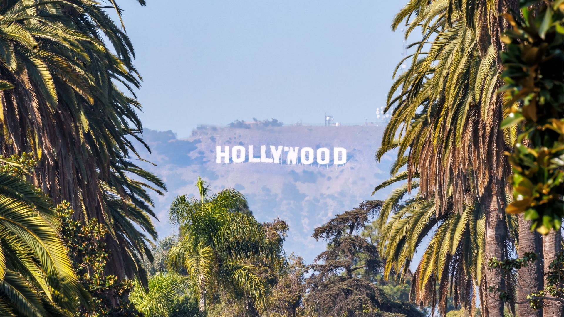 Hollywood - Photo - Markus Mainka