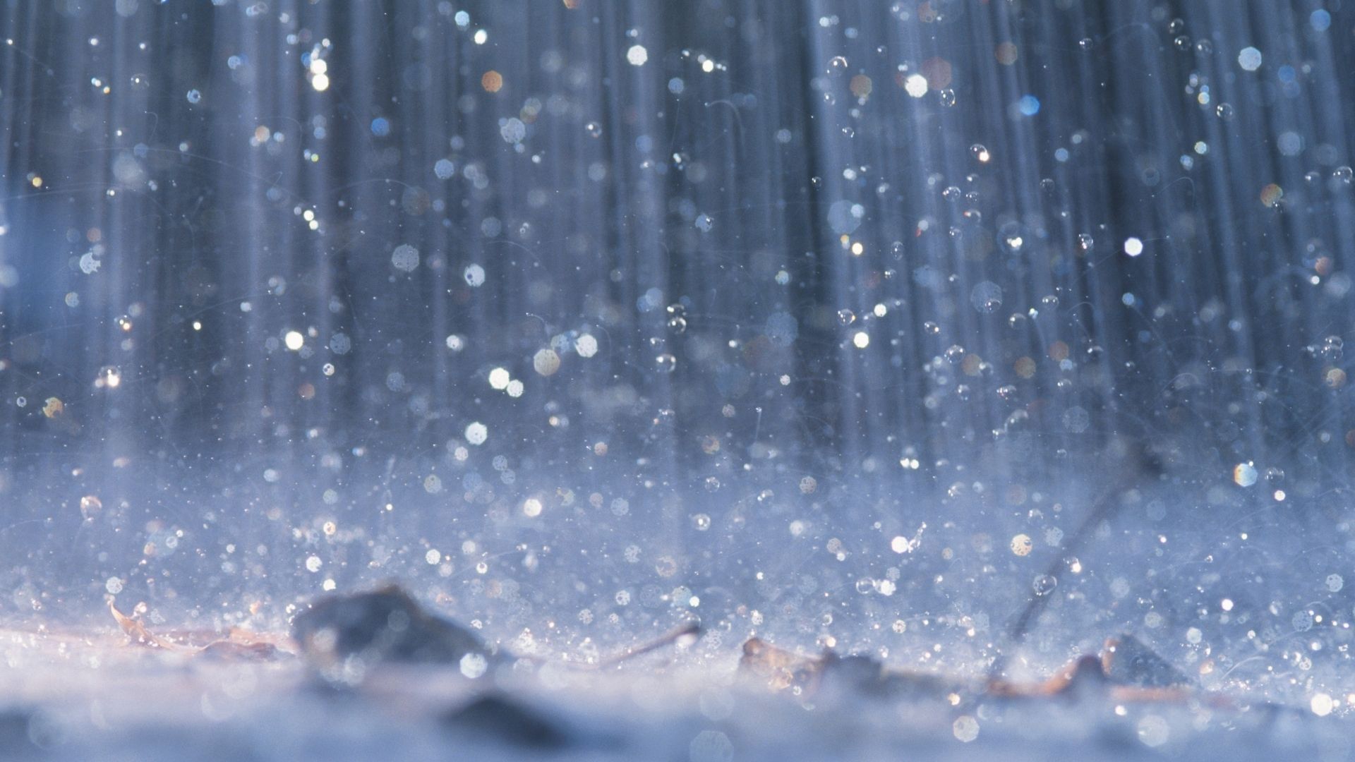 illustration pluie et stress hydrique - Photo - David de Lossy