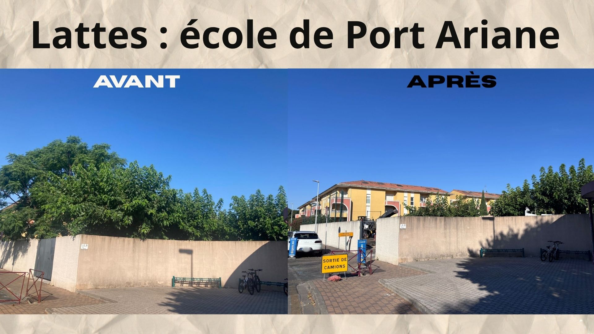 Lattes école de Port Ariane avant et après la coupe d'arbres - Photo - DR Mila