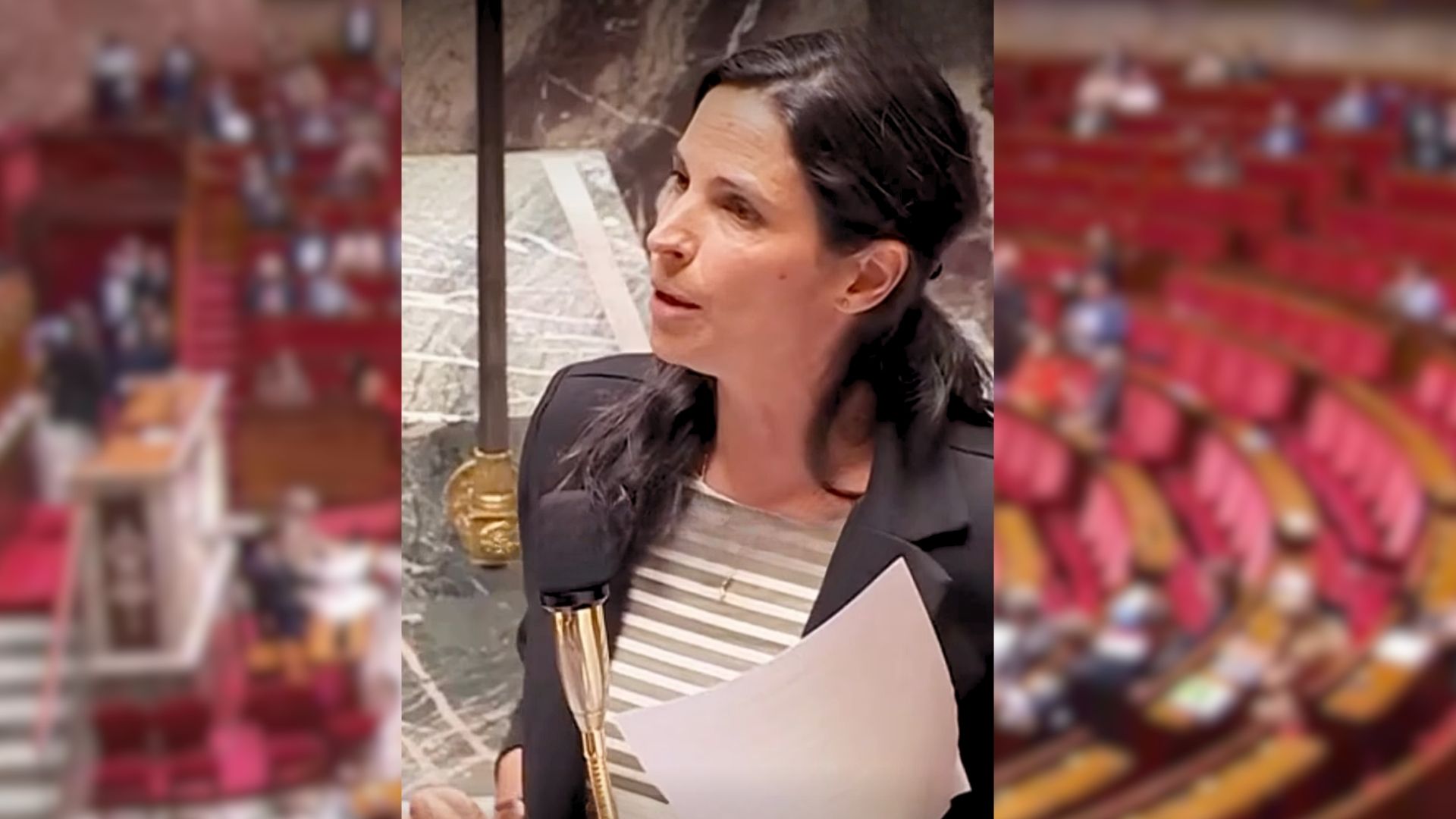 "Plus on augmente les peines, moins les enfants vont pouvoir parler" Marianne Maximi députée LFI - Photo - DR AN