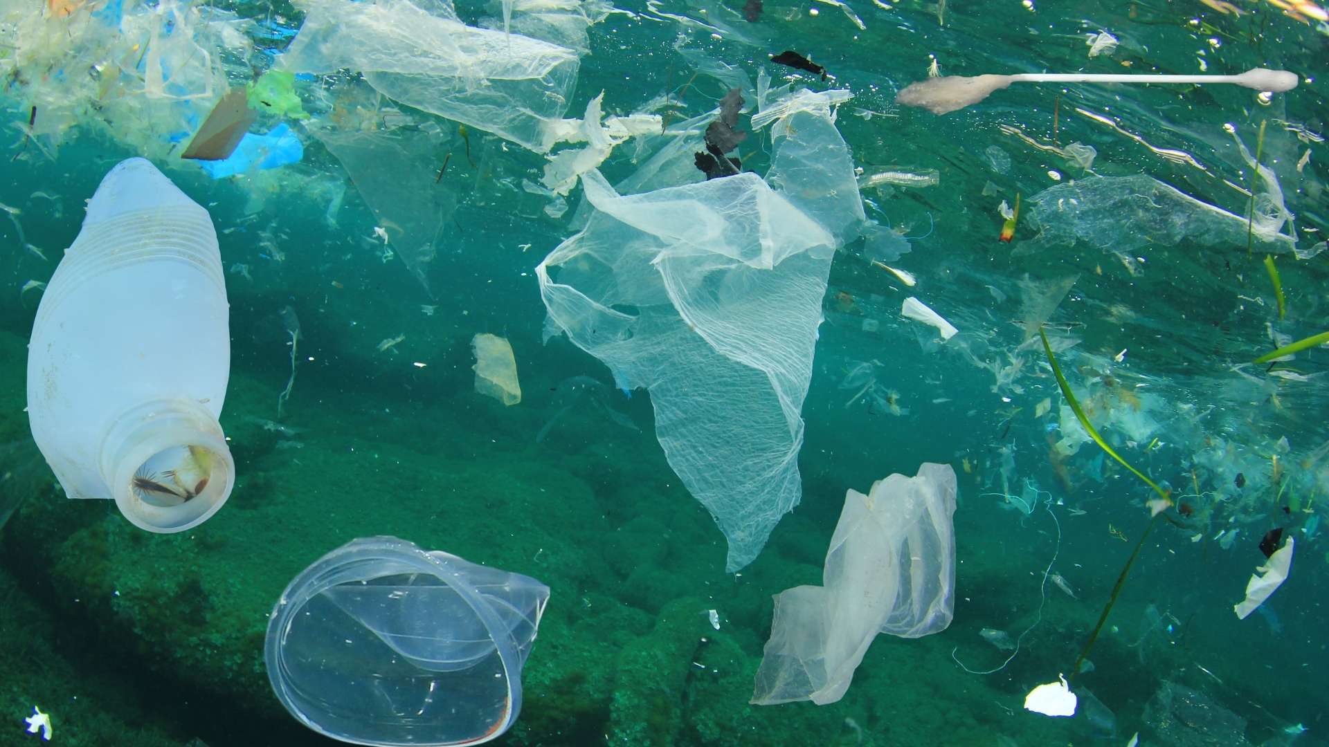 Pollution par les plastiques - Photo - LAB_ PLURIELLE INFO